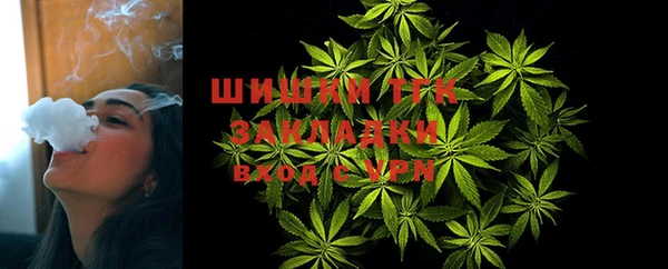 прущая мука Нея
