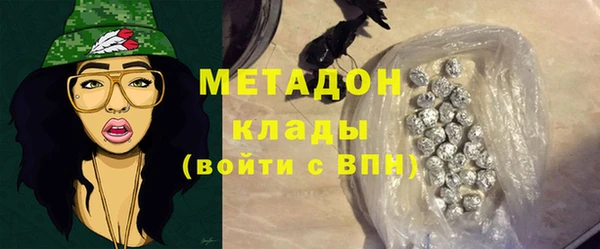 шишки Елизово