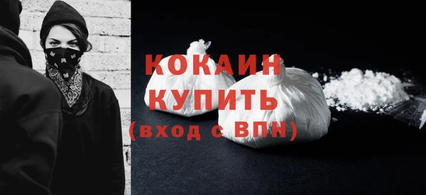 шишки Елизово