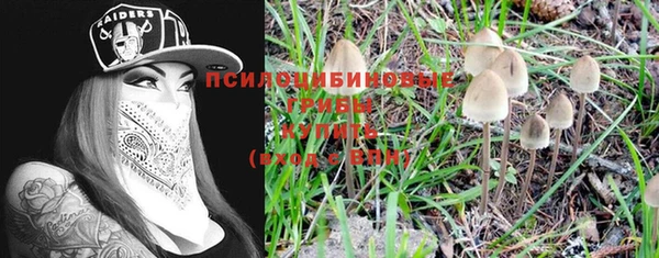 мдма Ельня