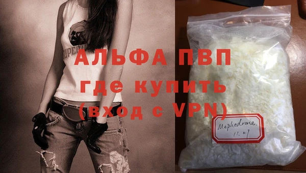 шишки Елизово