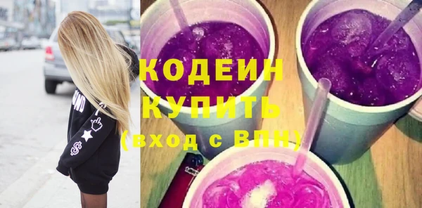 шишки Елизово
