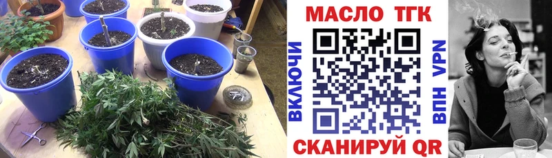 ТГК гашишное масло  Купить закладки  Качканар 
