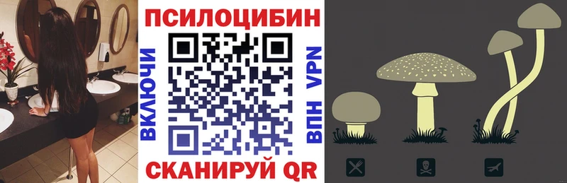 Галлюциногенные грибы GOLDEN TEACHER  Купить  Качканар 